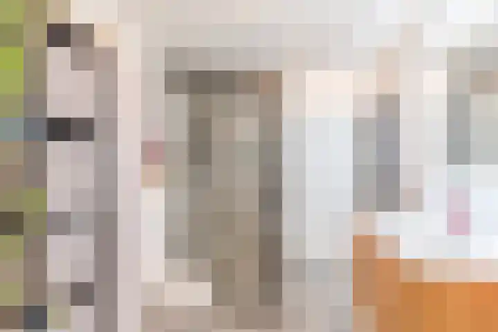Viottastraat 41 Eindhoven thumbnail 27