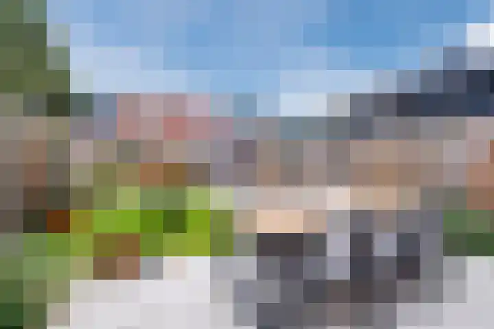 Viottastraat 41 Eindhoven thumbnail 33