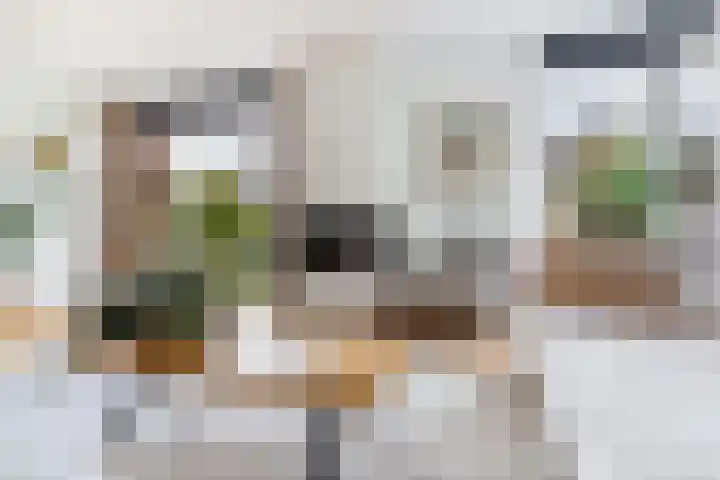 Virgilius 34 Wijk bij Duurstede thumbnail 10