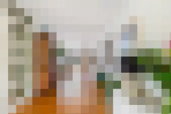 Virgilius 34 Wijk bij Duurstede thumbnail 12