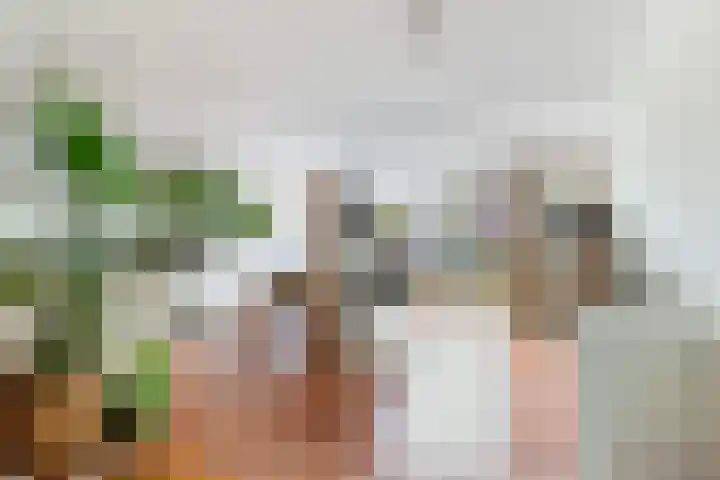 Virgilius 34 Wijk bij Duurstede thumbnail 13