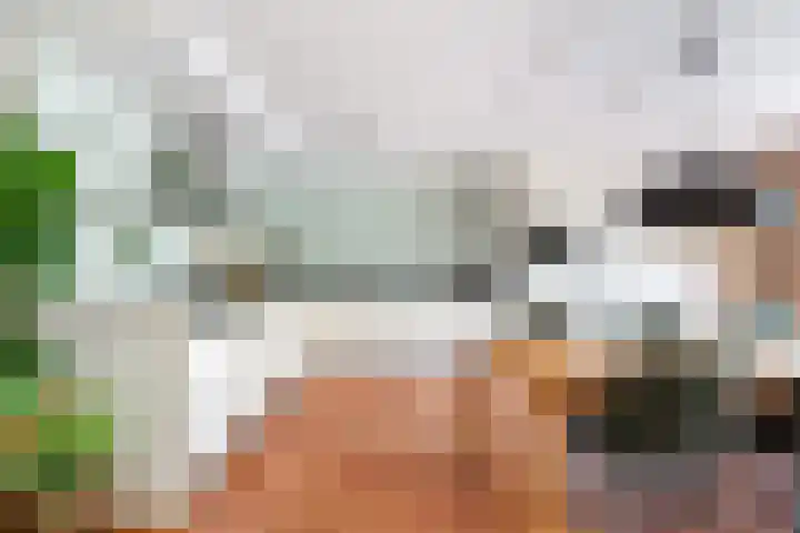 Virgilius 34 Wijk bij Duurstede thumbnail 14