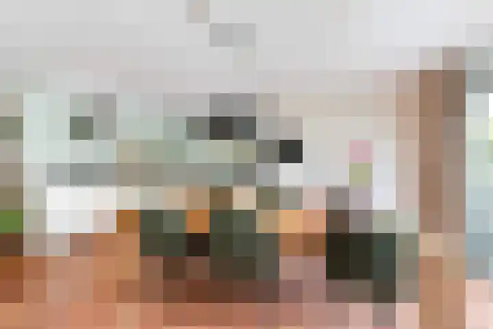 Virgilius 34 Wijk bij Duurstede thumbnail 15