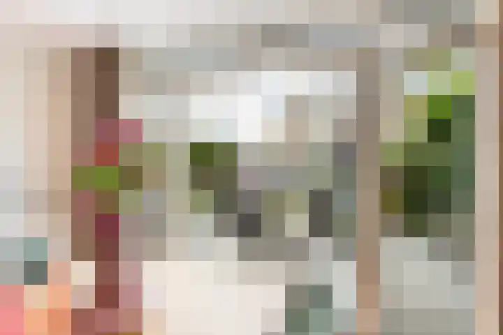 Virgilius 34 Wijk bij Duurstede thumbnail 19
