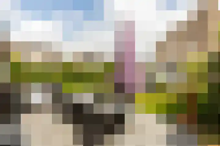 Virgilius 34 Wijk bij Duurstede thumbnail 23