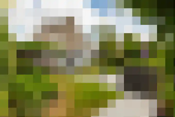 Virgilius 34 Wijk bij Duurstede thumbnail 25