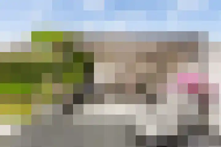Virgilius 34 Wijk bij Duurstede thumbnail 26