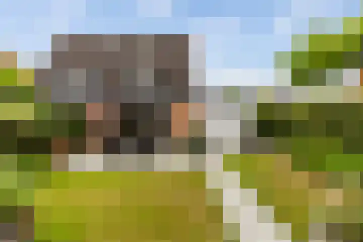 Virgilius 34 Wijk bij Duurstede thumbnail 28