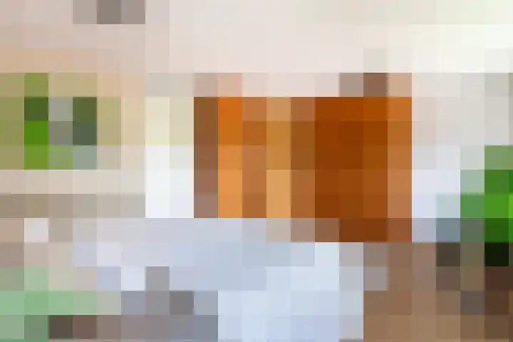 Virgilius 34 Wijk bij Duurstede thumbnail 32