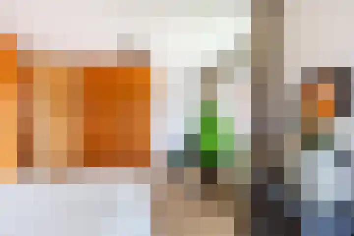 Virgilius 34 Wijk bij Duurstede thumbnail 33