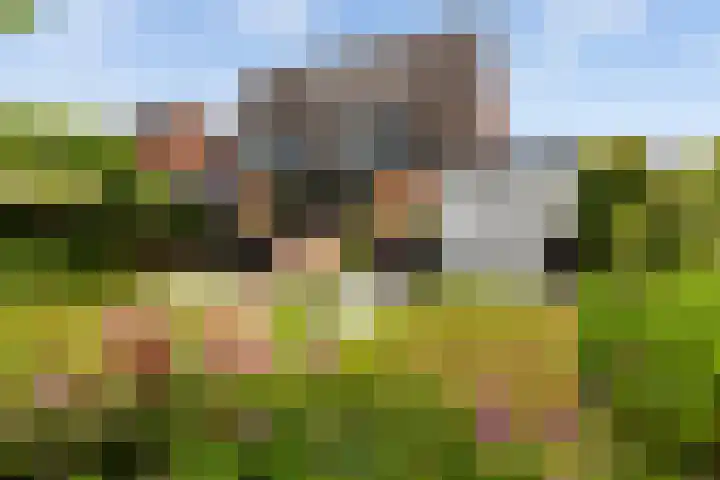 Virgilius 34 Wijk bij Duurstede thumbnail 4