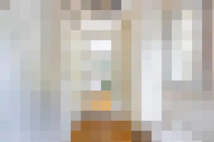Virgilius 34 Wijk bij Duurstede thumbnail 45