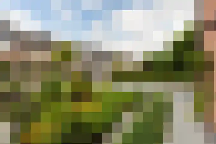 Virgilius 34 Wijk bij Duurstede thumbnail 48