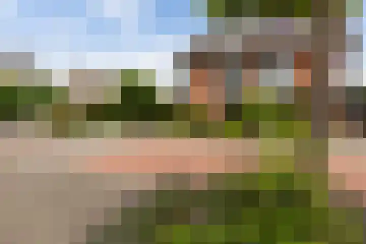 Virgilius 34 Wijk bij Duurstede thumbnail 49