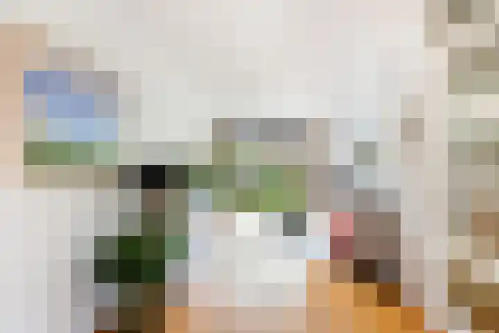 Virgilius 34 Wijk bij Duurstede thumbnail 5