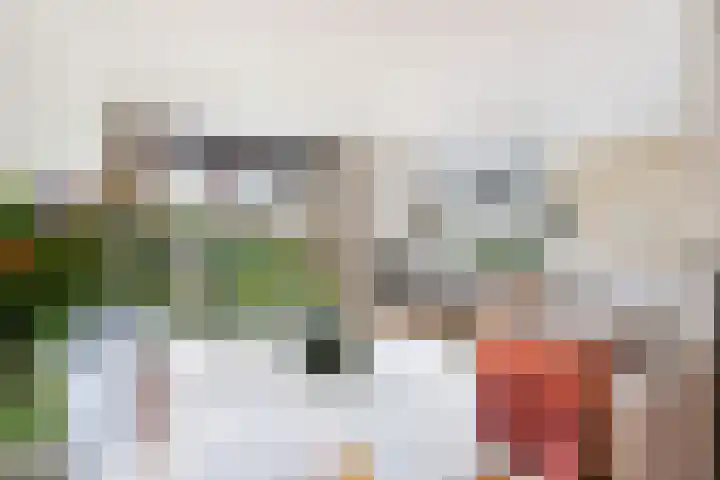 Virgilius 34 Wijk bij Duurstede thumbnail 6