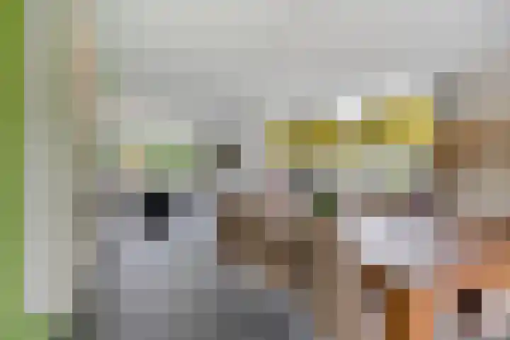 Virginia Woolflaan 14 Eindhoven thumbnail 17