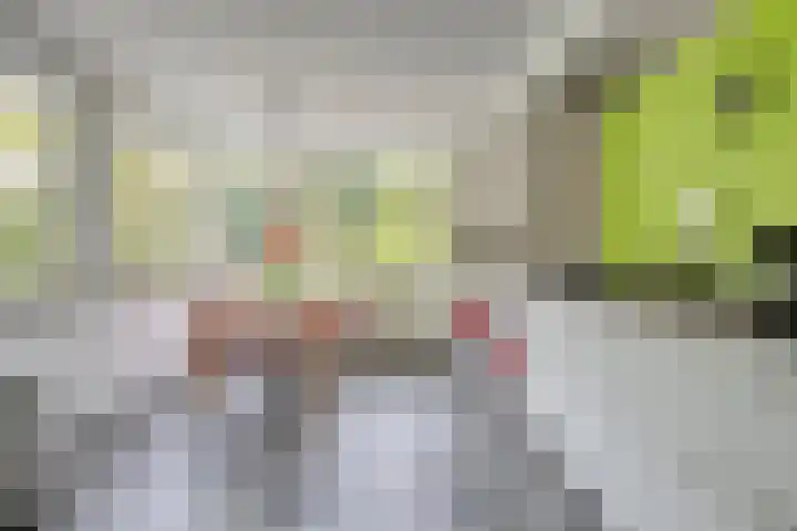 Virginia Woolflaan 14 Eindhoven thumbnail 23