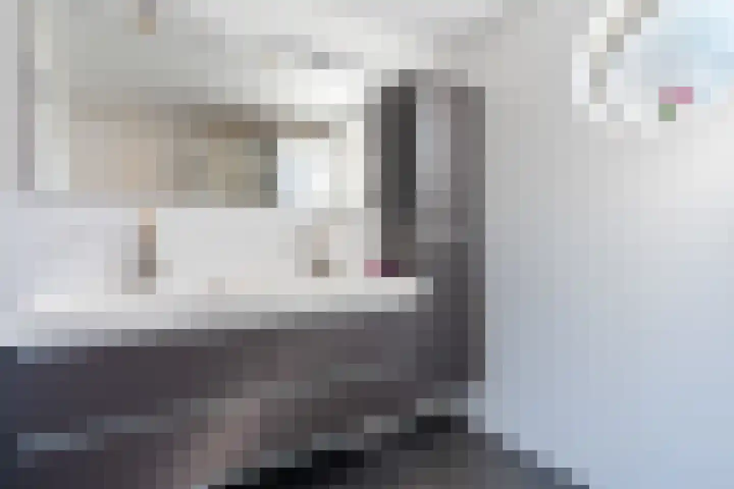 Virgo 5 Assen thumbnail 27