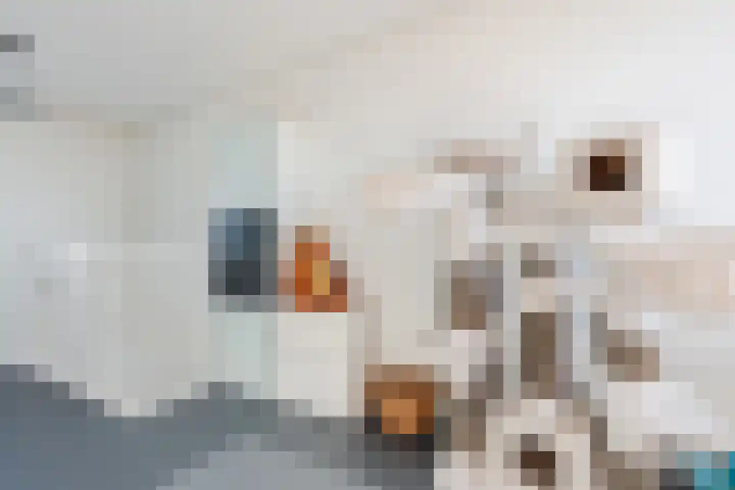 Virgo 5 Assen thumbnail 33