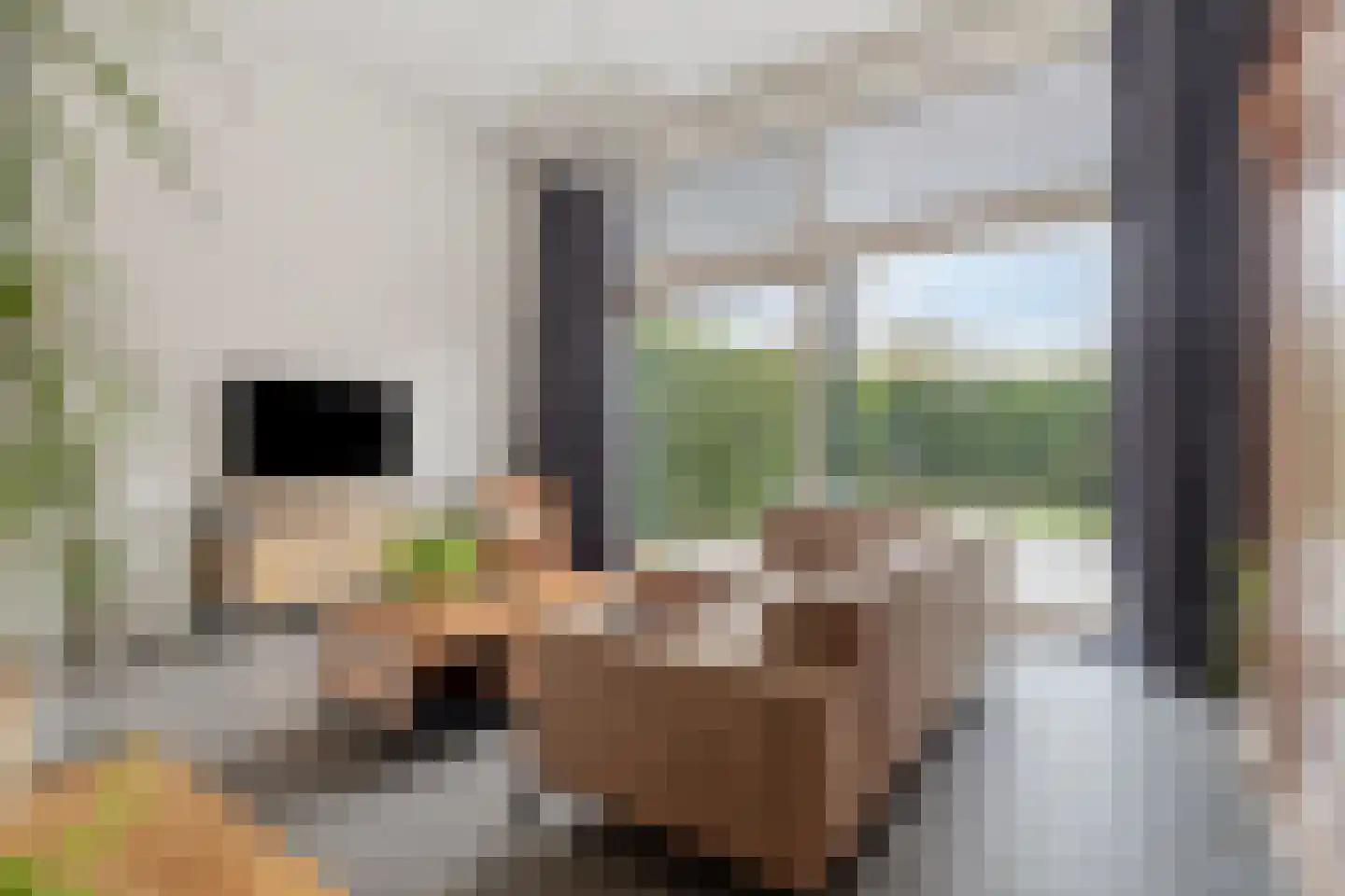 Virgo 73 Assen thumbnail 11