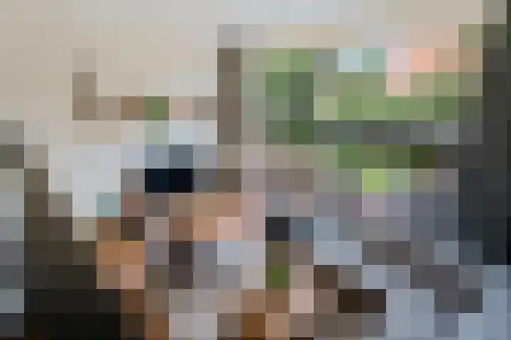 Virgo 79 Assen thumbnail 13