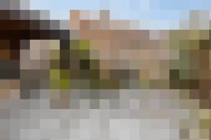 Virgo 79 Assen thumbnail 17