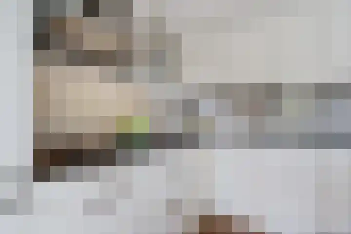 Virgo 79 Assen thumbnail 18