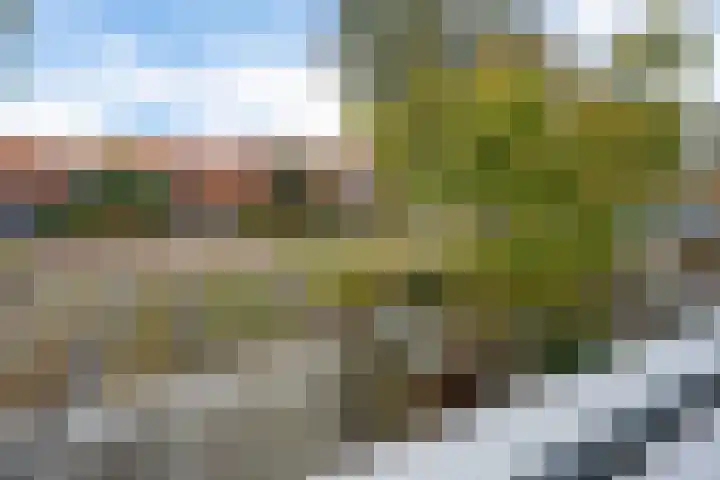 Virgo 79 Assen thumbnail 22