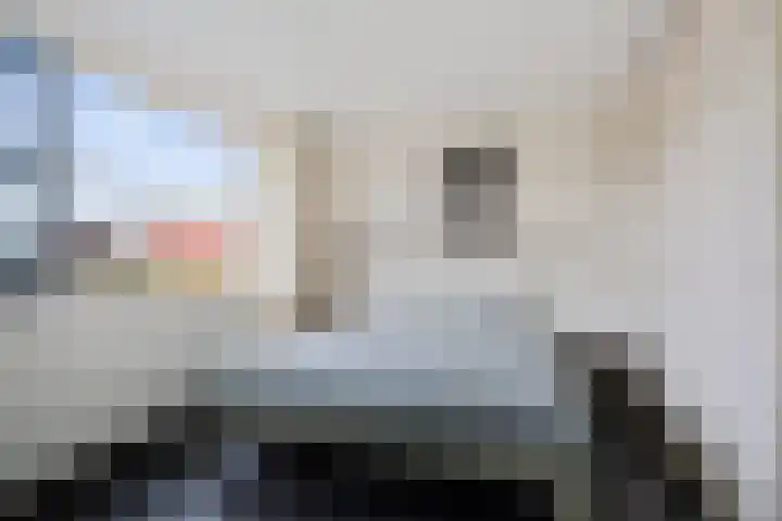 Virgo 79 Assen thumbnail 24