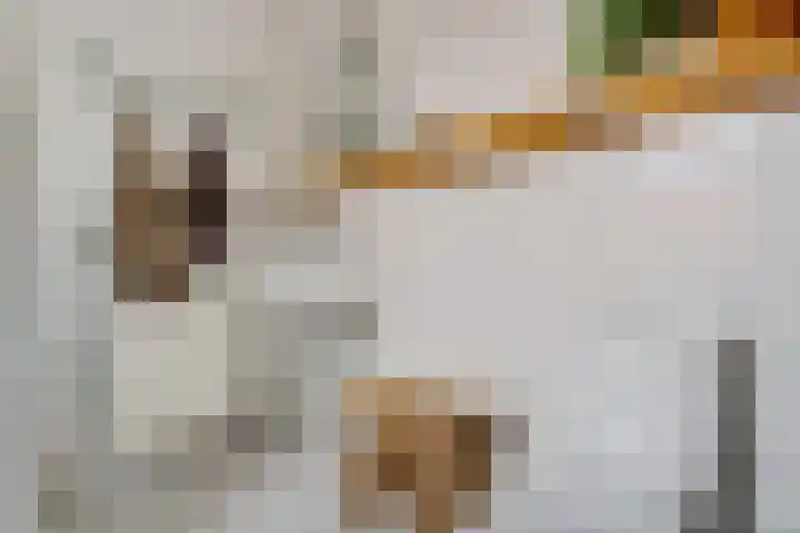 Virgo 79 Assen thumbnail 32