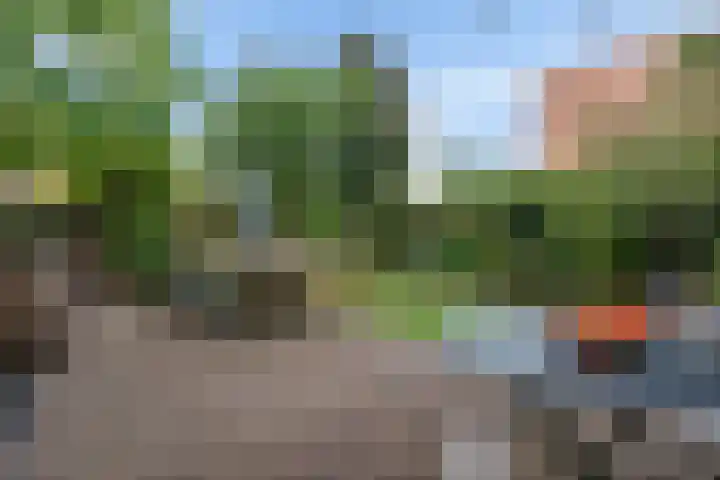 Virgo 79 Assen thumbnail 35