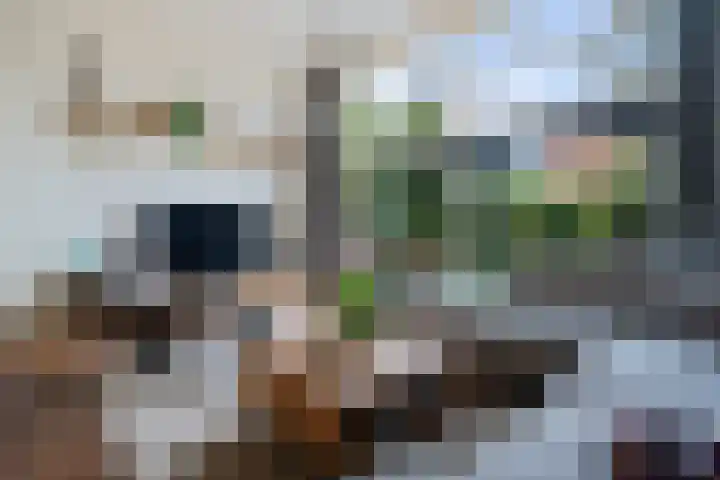 Virgo 79 Assen thumbnail 9