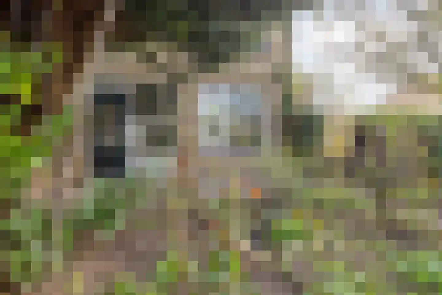 Virgostraat 1 Spijkenisse thumbnail 10