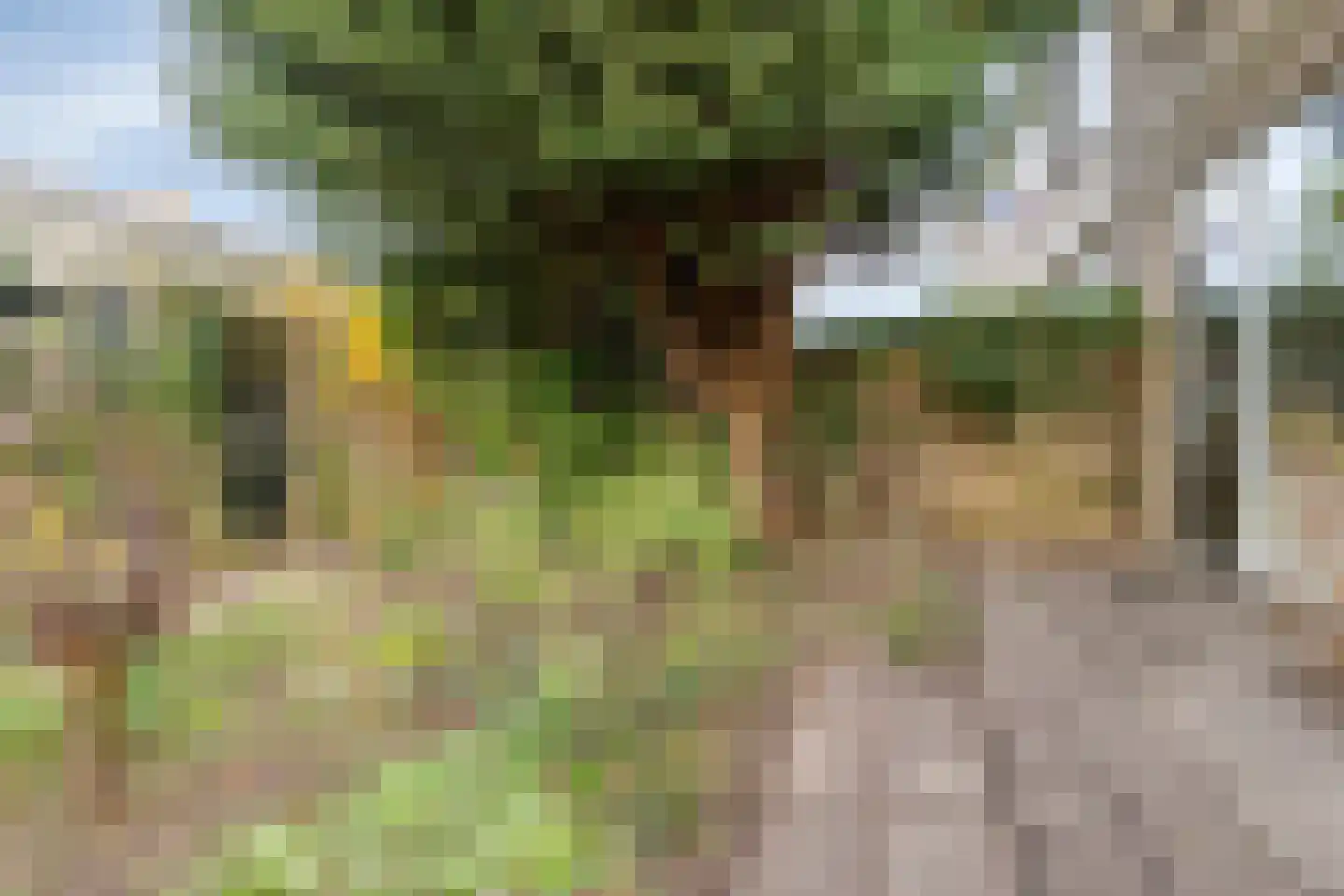 Virgostraat 1 Spijkenisse thumbnail 11