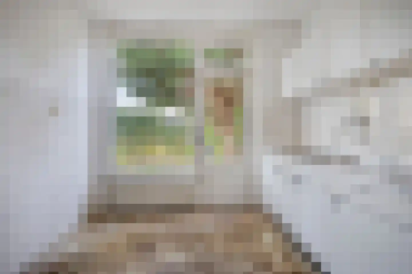 Virgostraat 1 Spijkenisse thumbnail 8