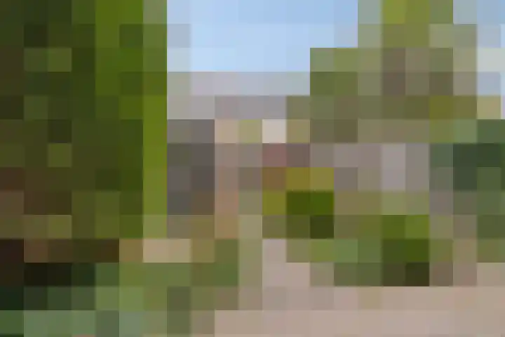 Virgostraat 3 Spijkenisse thumbnail 13