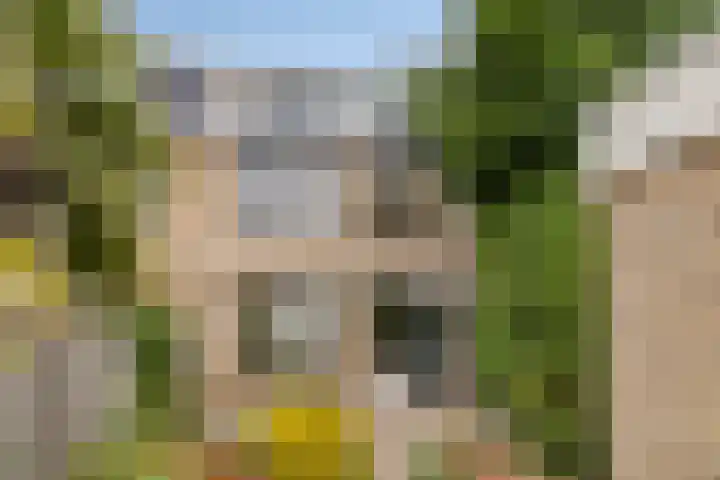 Virgostraat 3 Spijkenisse thumbnail 15