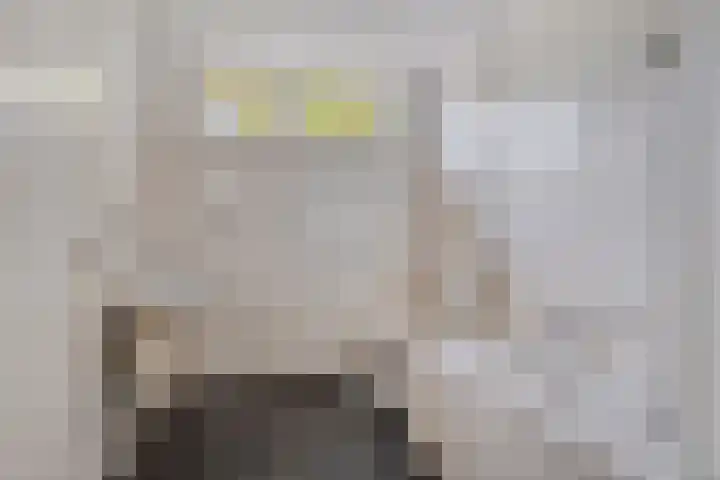Virgostraat 3 Spijkenisse thumbnail 20