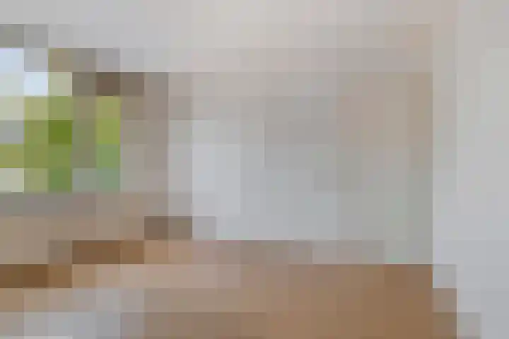 Virgostraat 3 Spijkenisse thumbnail 24
