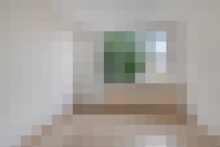 Virgostraat 3 Spijkenisse thumbnail 25
