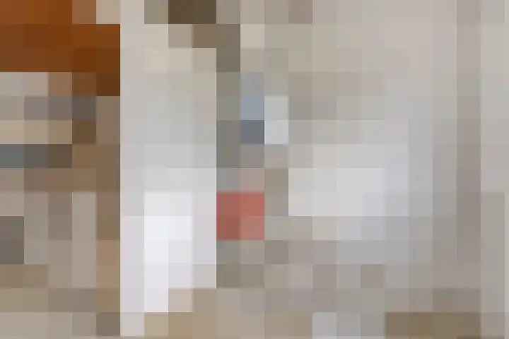 Virgostraat 3 Spijkenisse thumbnail 29