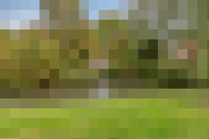 Virgostraat 3 Spijkenisse thumbnail 33