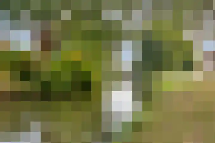 Virgostraat 3 Spijkenisse thumbnail 34