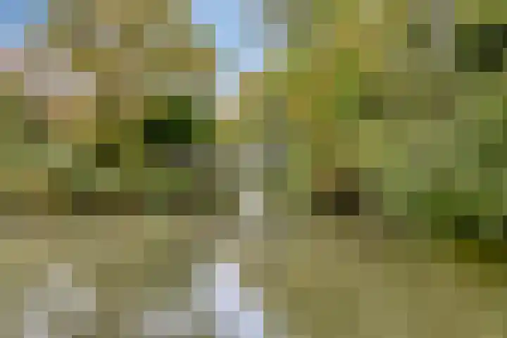 Virgostraat 3 Spijkenisse thumbnail 35