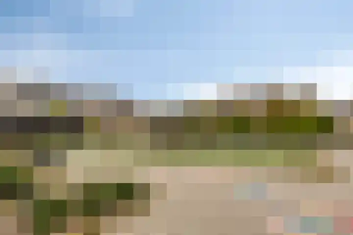 Virgostraat 3 Spijkenisse thumbnail 36