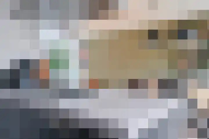 Virgostraat 5 Spijkenisse thumbnail 18