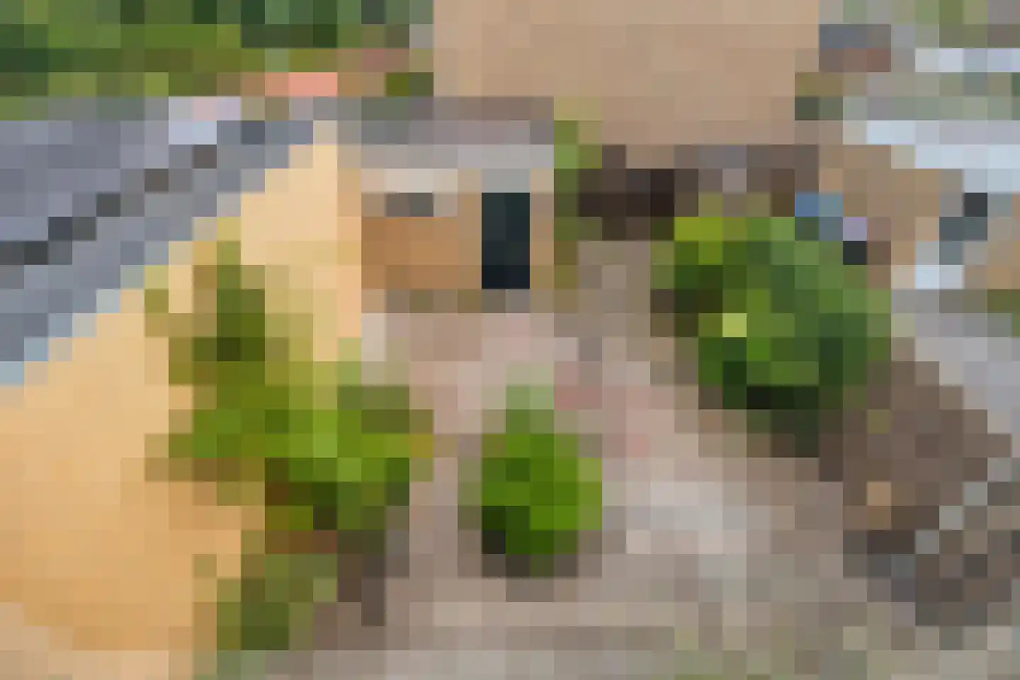 Virgostraat 6 Spijkenisse thumbnail 29