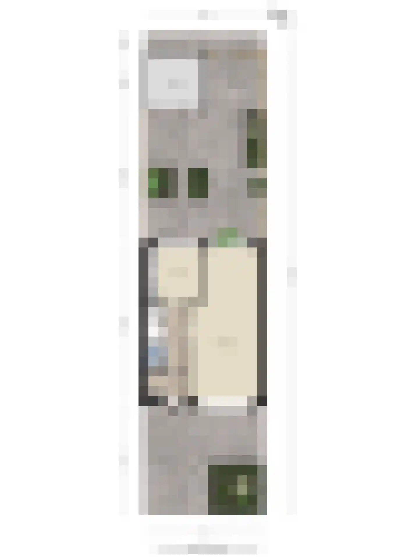 Virgostraat 6 Spijkenisse thumbnail 35