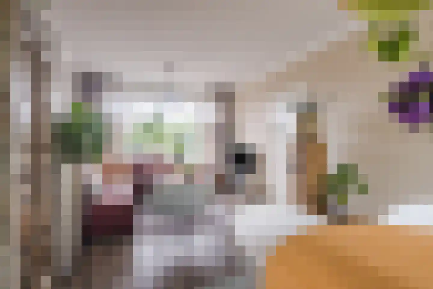 Virmundtstraat 109 Gemert thumbnail 10